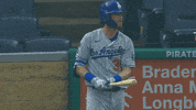 Regular Season Sport GIF by MLB