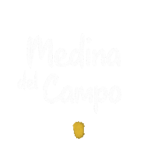 Medinadelcampo valladolid medina castillayleon castilla y leon Sticker
