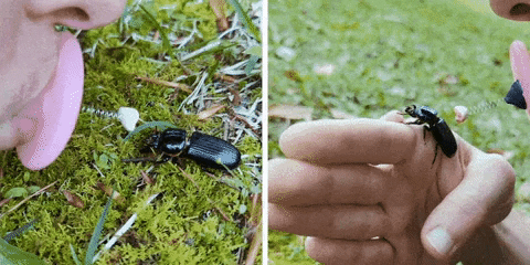 6469f2d6191e4b7892f8ffbb862c6395 giphygifmaker GIF