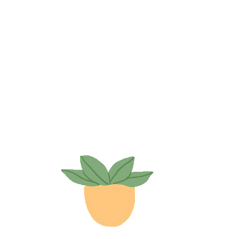 ivy_yunita giphyupload flower plant orchid Sticker