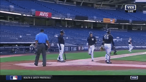 peterbrody giphygifmaker GIF