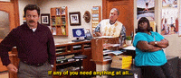 ron swanson whatever GIF