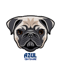 dog pug Sticker by Jose Cuervo