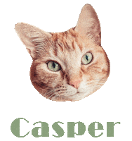 Cat Ginger Sticker
