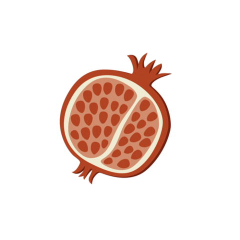 Chicheoupaschichegeneve giphyupload fruit grenade pomegranate Sticker