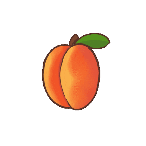Apricot Sticker
