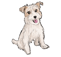 Dog Sticker