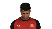 Look Up Bayer Leverkusen Sticker by Bundesliga