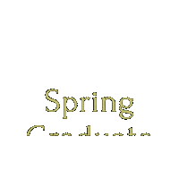 Colorado State Gold Sticker by Colorado State University Online