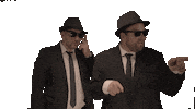 Blues Brothers Cube Sticker by Dental Direkt