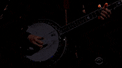 stephen colbert GIF