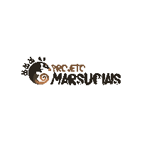 Project Opossum Sticker by Projeto Marsupiais