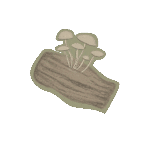 Victoria_michelle_ forest mushrooms cottagecore whimsical Sticker