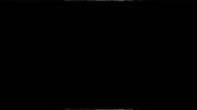 GIF by Columbus State University Athletics