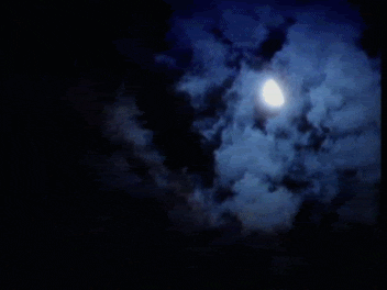 luna GIF