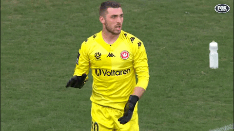 Western Sydney Wanderers Goalkeeper GIF by wswanderersfc