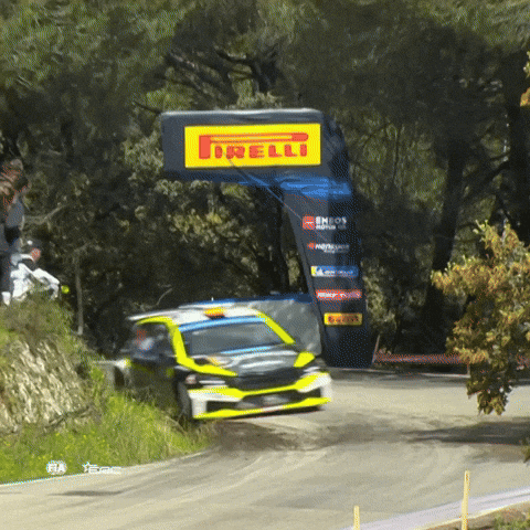 Never Give Up Crash GIF by FIA European Rally Championship