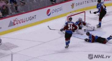 Celebrate Ice Hockey GIF by NHL