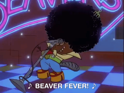 nickrewind giphydvr nicksplat angry beavers giphyab015 GIF