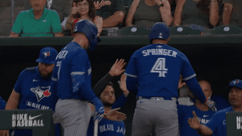 Blue Jays Baseball GIF by Toronto Blue Jays