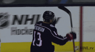 happy ice hockey GIF by NHL