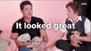 Zac Efron Puppies GIF by BuzzFeed