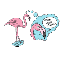 Shitiknow Sticker by Filab
