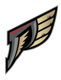 Lacrosse Philly Sticker by Philadelphia Wings