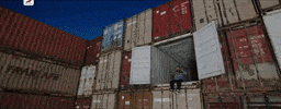 GIF by Sony Music India