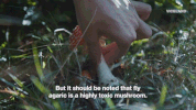 viceland GIF by Hamilton's Pharmacopeia