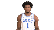 College Basketball Peace Sticker by Duke Men's Basketball