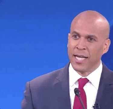 Democratic Debate Issue GIF by GIPHY News