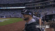 celebration usa GIF by MLB
