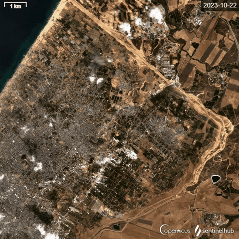 OBSERVATEURS giphyupload GIF