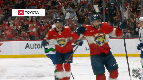 Happy Florida Panthers GIF by NHL