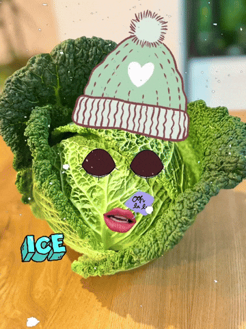 Winter Wintervibes GIF