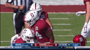 gostanford  GIF