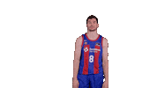 Liga Endesa Basketball Sticker by ACB