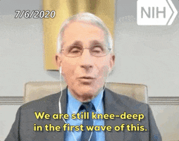 Anthony Fauci GIF by GIPHY News