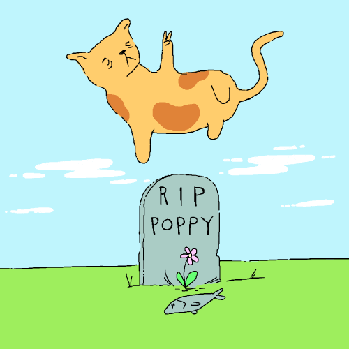 Animation Domination Cat GIF by gifnews