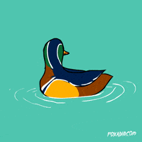 Animation Domination Fox GIF by gifnews