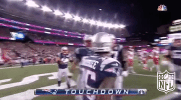New England Patriots Football GIF by NFL