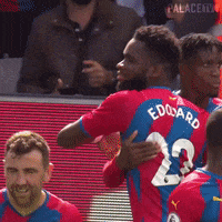 Premier League Palace GIF by CPFC