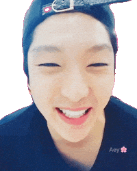 Lee Joon Gi Smile Sticker