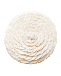 Flower Paris Sticker by Cedric Grolet