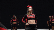 niu niuhuskies GIF by Northern Illinois University