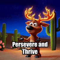 Desert Wisdom GIF by elkijahspark
