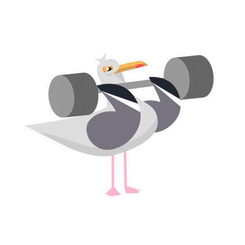 Herring Gull Bird Sticker by RSPB