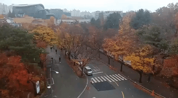 White Flakes Mix With Autumn Leaves as Early Season Snow Falls in Suwon