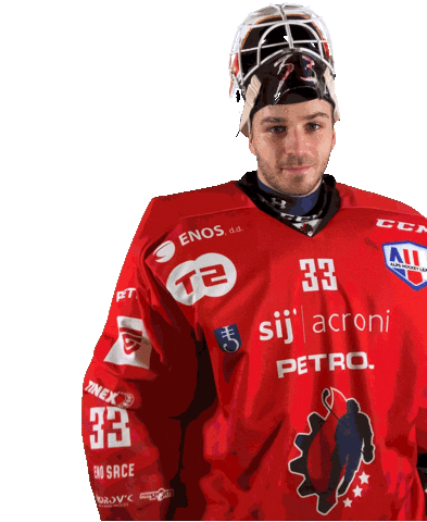 Hockey Goaly Sticker by HDD SIJ Acroni Jesenice